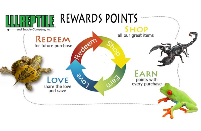 LLLReptile Rewards: Shop - Earn - Love - Redeem
